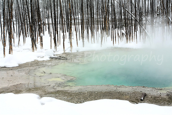 Cistern Spring