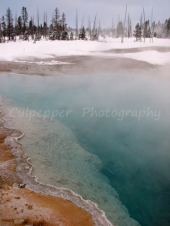 Black Pool