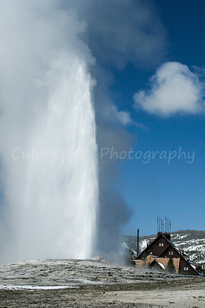 Faithful Old Faithful