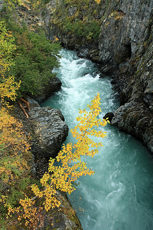 6 Mile Creek