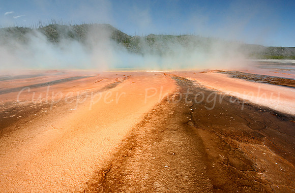 Bacteria Mat of Grand Prismatic
