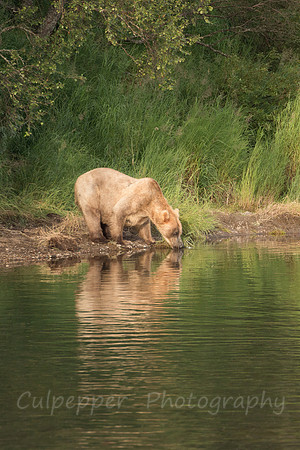 Finding a Quiet Moment