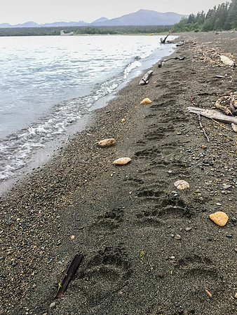 Bear Highway