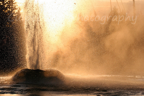 Pink Cone Geyser