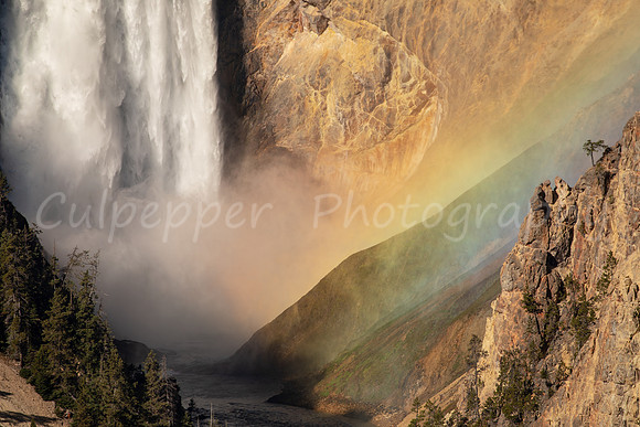 Falls, Rainbow, Tree
