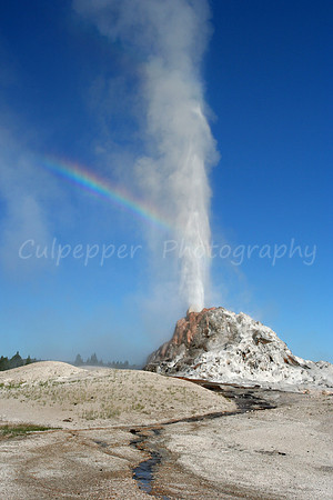 White Dome Geyser
