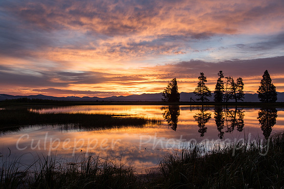 Sunrise at Gull Point