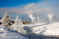 Winter Wonderland