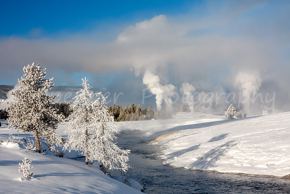 Winter Wonderland
