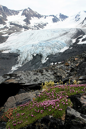 Raven Glacier