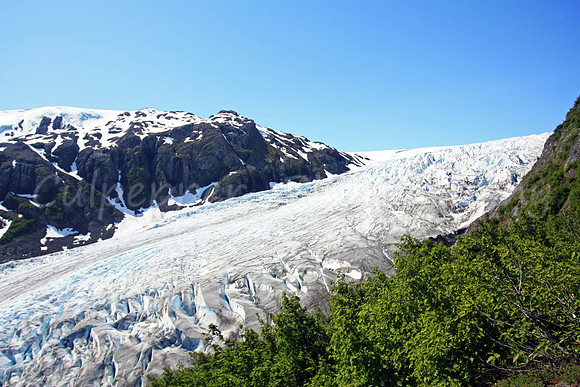 Exit Glacier