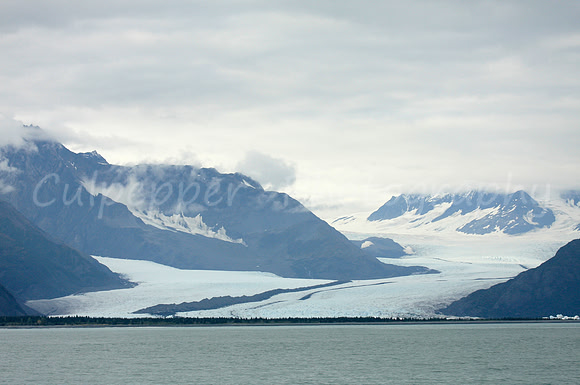 Bear Glacier