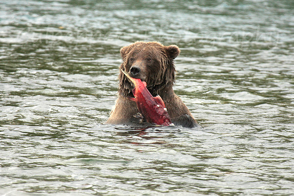 Tasty Snack