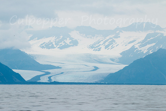 Bear Glacier