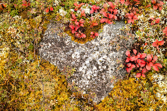 Heart Rock