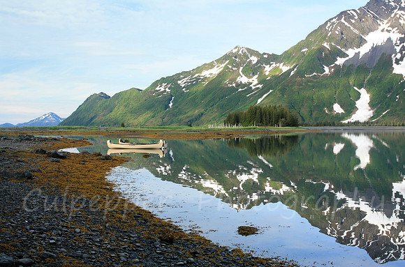 Calm Reflections