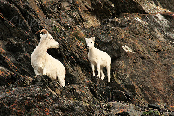Momma and Kid