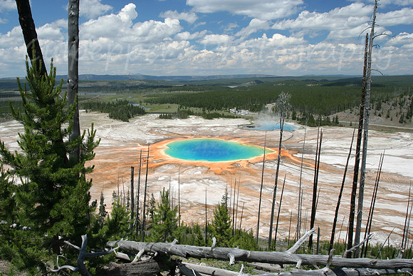 Grand Prismatic Spring