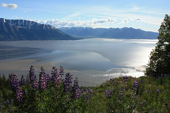 Bore Tide on Turnagain Arm