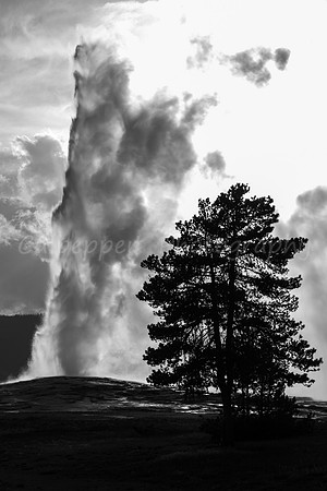 Old Faithful Backlit B+W